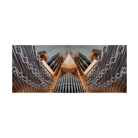 Bragi Ingibergsson 'Organ' Canvas Art, 10x24